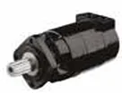 TG Serisi Frezeli Orbit Motor 169 cc/dev (W/WEA-25 için)