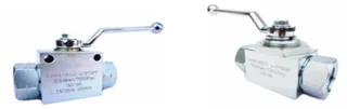 İki Yollu Küresel Vana BSP 1/4" Dişi Bağlantı DN06 V2RH