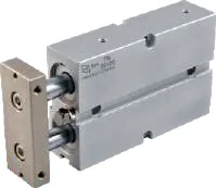TN Çift Milli Manyetik Yassı Silindir Ø16 x 80 mm Strok