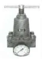 Insert Deal Yüksek Basınç Regülatörü 1/4" 50 Bar 3-30 Bar R27F