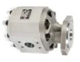 30. Grup Dişli Pompa 30A/C42X236 42,00 cm³/dev