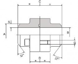 CIOCCA - DFS080-ST 1/2