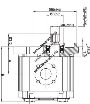 OT 200 P04 4,1 OT 200 SERİSİ D/R 21-S2 MİL VE KAPAK TİPLİ DİŞLİ POMPA