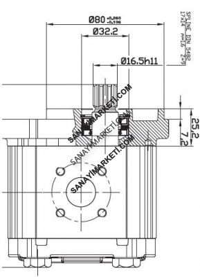 OT 200 P04 4,1 OT 200 SERİSİ D/B 25-B2 MİL VE KAPAK TİPLİ DİŞLİ POMPA