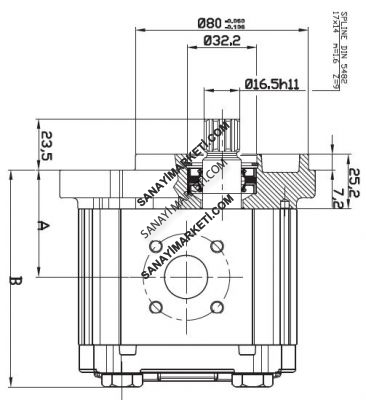 OT 200 P04 4,1 OT 200 SERİSİ D/R 21-S2 MİL VE KAPAK TİPLİ DİŞLİ MOTOR