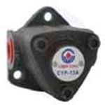 CHEN YING - TOP-10A Rotary Oil Pump (Mini Pompa)